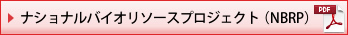 ナショナルバイオリソースプロジェクト（NBRP） (PDFファイル）