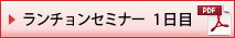 ランチョンセミナー1日目(PDF)